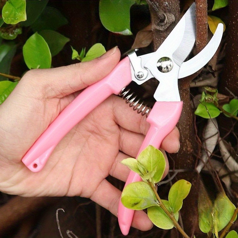 Set di 2 Forbici per Fiori (Ro - Pinking Shear Blade recensione e prezzo